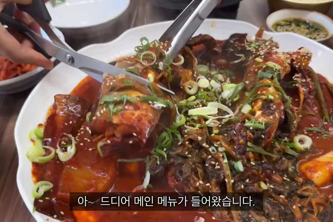 마시코